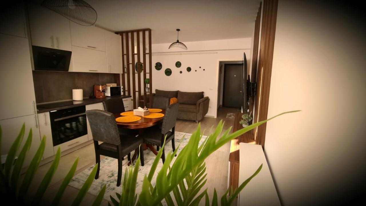 Cozy Studio Apartment Brasov Exterior photo