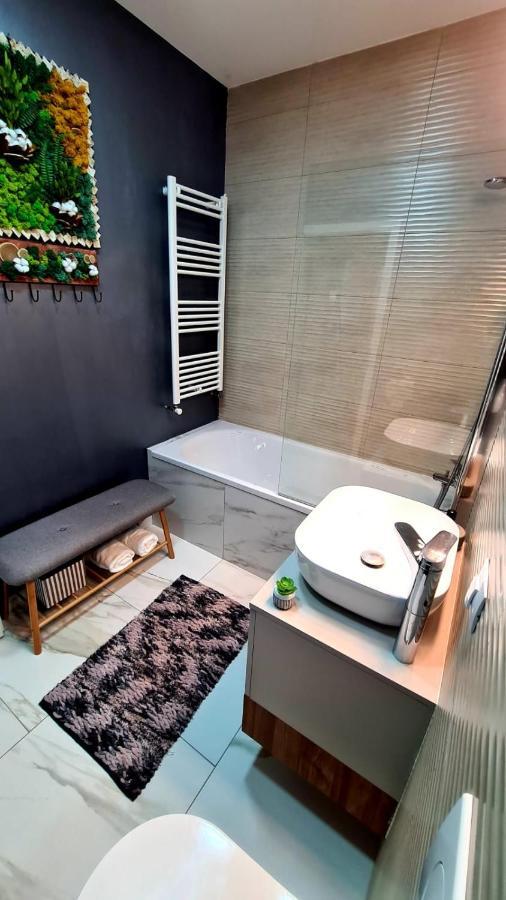 Cozy Studio Apartment Brasov Exterior photo